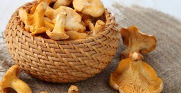 Como fritar cogumelos - recomendações e receitas